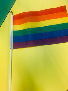 Uenuku Kids Rainbow Flags