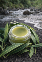 Load image into Gallery viewer, Koromiko Balm