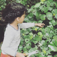 Load image into Gallery viewer, Rongoā Workshops