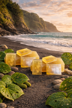 Load image into Gallery viewer, Kawakawa Healing Body Bars