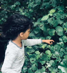 Kawakawa Balm